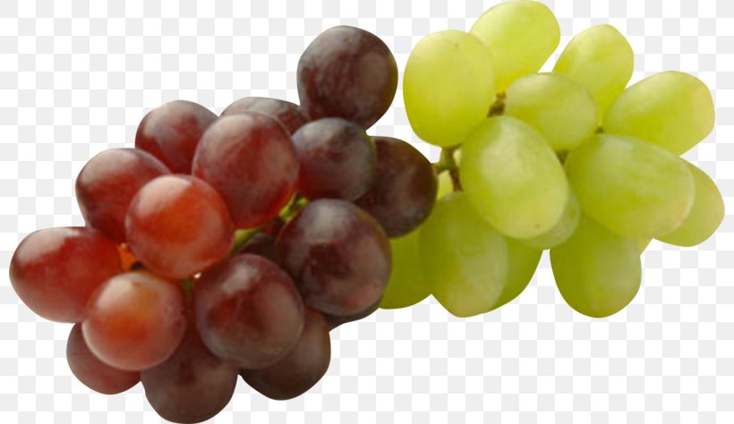 Common Grape Vine Grape Seed Oil Raisin Fruit, PNG, 800x474px, Common Grape Vine, Berry, Food, Fruit, Grape Download Free