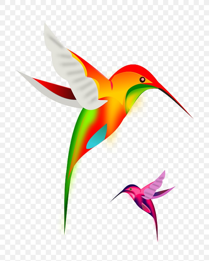 Hummingbird Clip Art, PNG, 768x1024px, Hummingbird, Beak, Bird, Drawing, Fauna Download Free