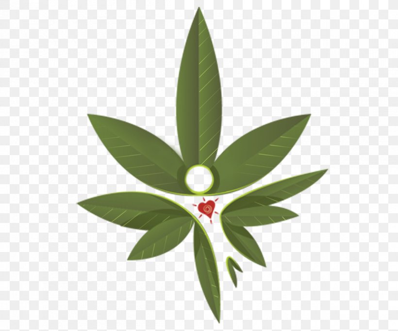 Leaf Hortus Europae Americanus Cannabis Botany Skunk, PNG, 1200x1000px, Leaf, Autoflowering Cannabis, Botany, Cannabinoid, Cannabis Download Free