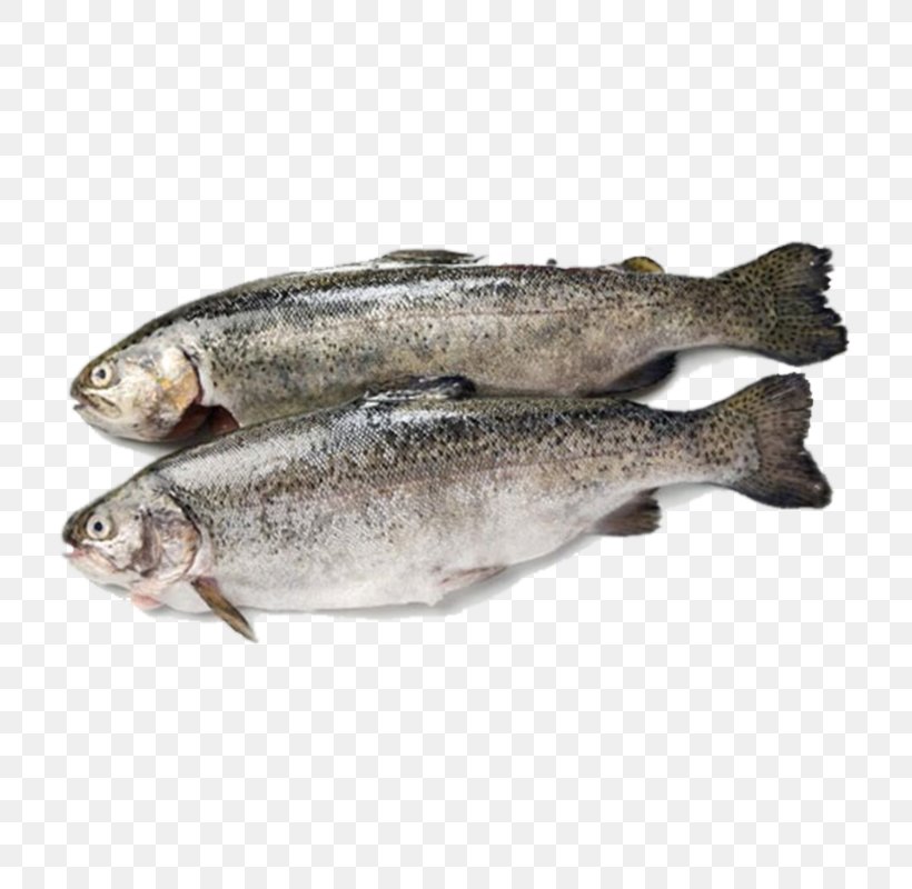 Fish Products Rainbow Trout Sardine, PNG, 800x800px, Fish Products, Anchovy, Aquaculture, Barramundi, Capelin Download Free