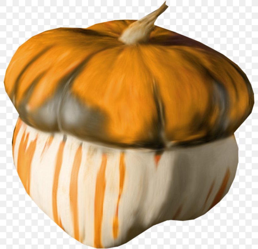 Pumpkin Gourd, PNG, 800x794px, Pumpkin, Calabaza, Cucumber Gourd And Melon Family, Cucurbita, Food Download Free