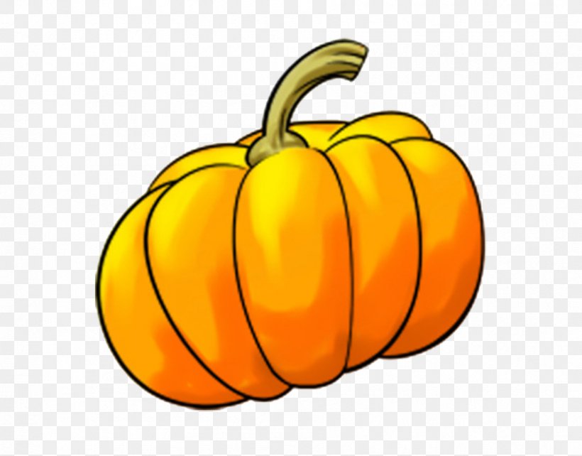 Jack-o'-lantern Calabaza Pumpkin Winter Squash Clip Art, PNG, 894x700px, Jacko Lantern, Calabaza, Cartoon, Crookneck Pumpkin, Cucurbita Download Free