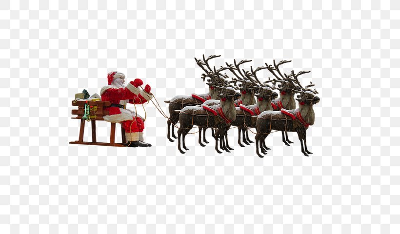 Santa Claus's Reindeer Santa Claus's Reindeer Mrs. Claus, PNG, 640x480px, Santa Claus, Antler, Christmas, Christmas Decoration, Christmas Eve Download Free