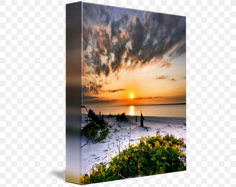 Shore Work Of Art Beach Sea, PNG, 487x650px, Shore, Art, Beach, Calm, Coast Download Free
