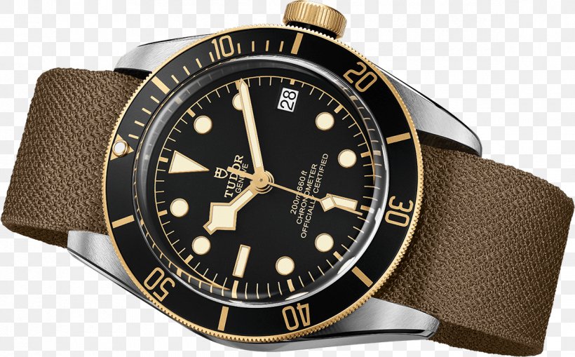 Baselworld Tudor Watches Gold Breitling SA, PNG, 1170x727px, Baselworld, Brand, Breitling Sa, Chronograph, Gold Download Free