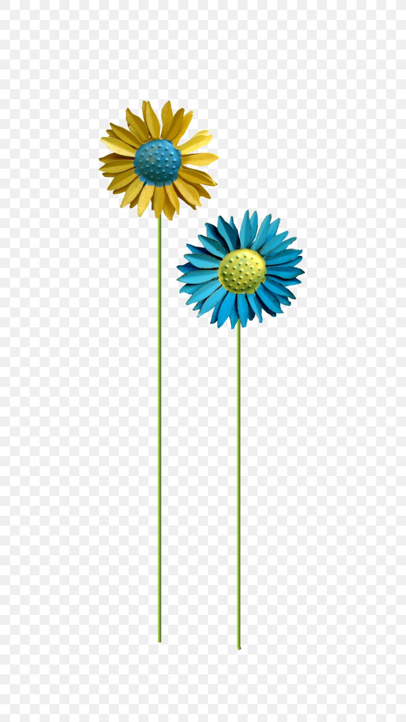 Cut Flowers Daisy Family Transvaal Daisy Common Sunflower, PNG, 548x1456px, Flower, Common Daisy, Common Sunflower, Cut Flowers, Daisy Download Free