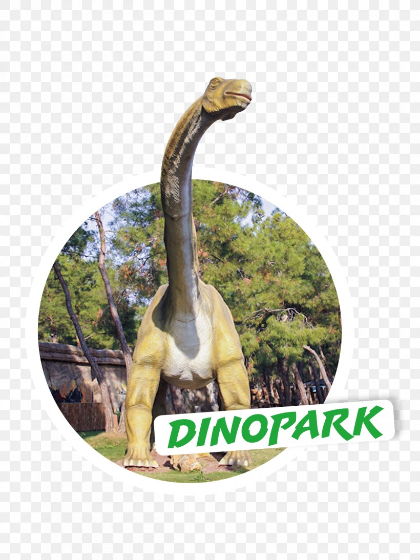 Dinosaur, PNG, 1250x1667px, Dinosaur, Tree Download Free