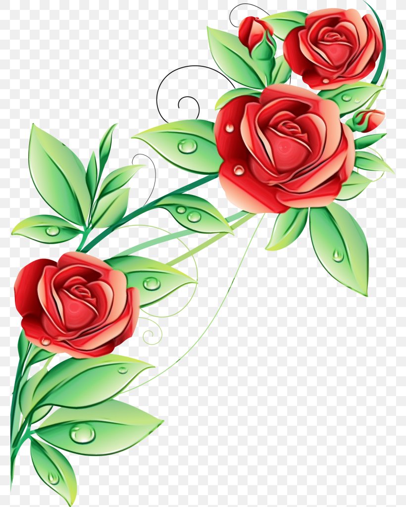 Garden Roses, PNG, 778x1024px, Watercolor, Cut Flowers, Flower, Garden Roses, Paint Download Free