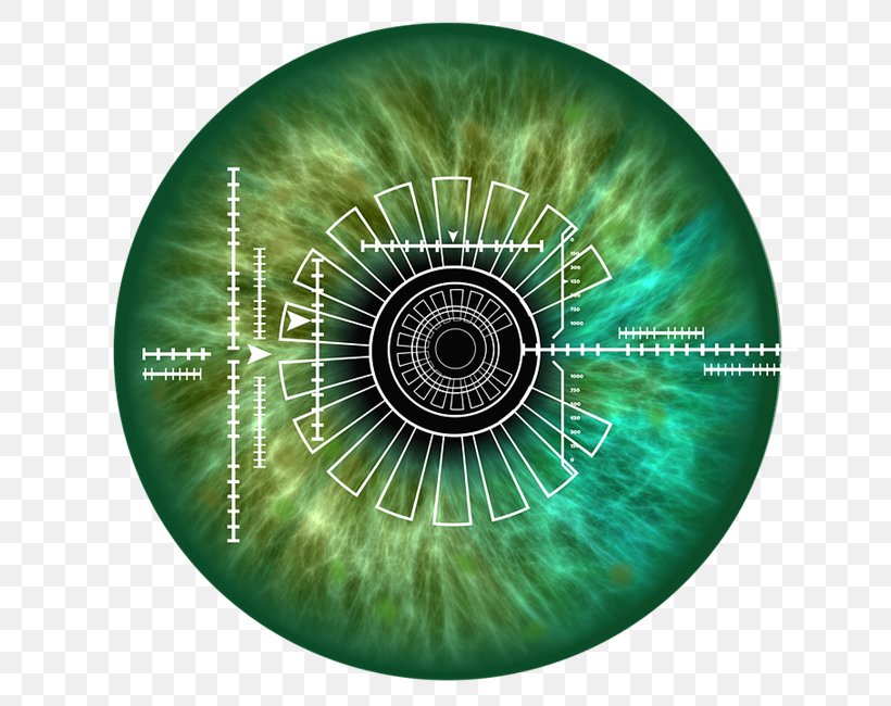 Iris Recognition Biometrics Eye Pattern Recognition, PNG, 650x650px, Watercolor, Cartoon, Flower, Frame, Heart Download Free