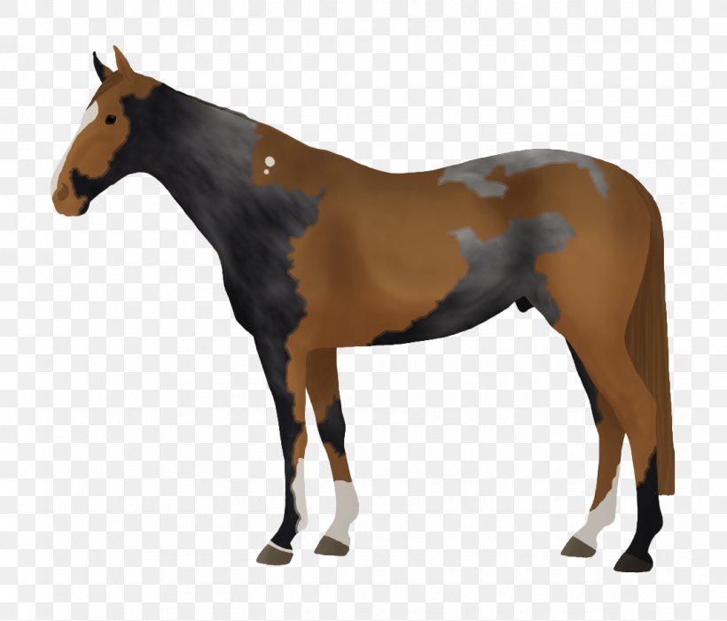 Thoroughbred Stallion Mare Horse Tack Horse Racing, PNG, 1073x918px, Thoroughbred, Animal Figure, Breed, Bridle, Colt Download Free