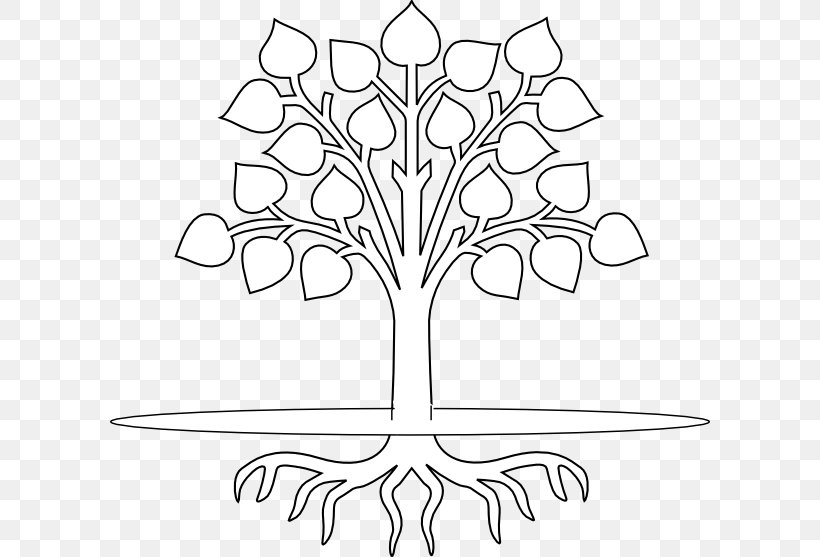 Tree Root Branch Drawing Clip Art, PNG, 600x557px, Tree, Artwork, Black And White, Branch, Color Download Free