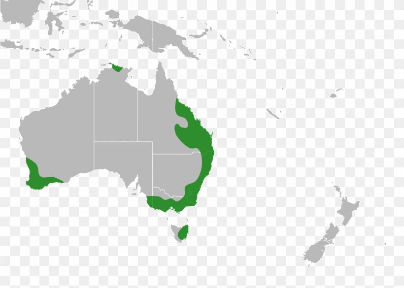 Australia Indonesia Globe World Map, PNG, 1280x914px, Australia, Globe, Green, Indonesia, Map Download Free