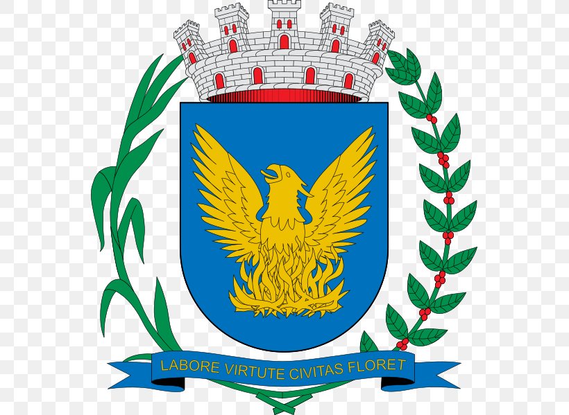 Brasão De Campinas Angostura Municipality, Sinaloa Coat Of Arms Escudo De Angostura, PNG, 557x599px, Campinas, Antioquia Department, Artwork, Beak, Coat Of Arms Download Free