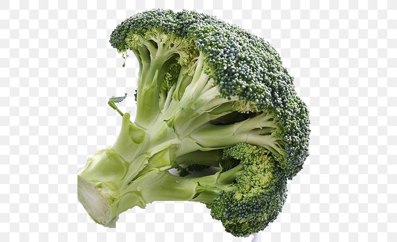 Broccoli Vegetable Cauliflower, PNG, 500x500px, Broccoli, Branch, Cauliflower, Food, Gratis Download Free