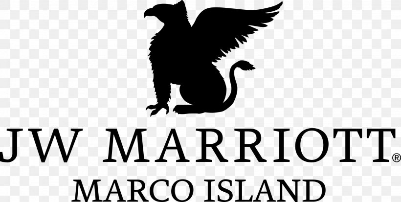 JW Marriott Houston Marriott International Hotel Marco Island Resort, PNG, 2048x1032px, Marriott International, Beak, Bird, Black And White, Brand Download Free