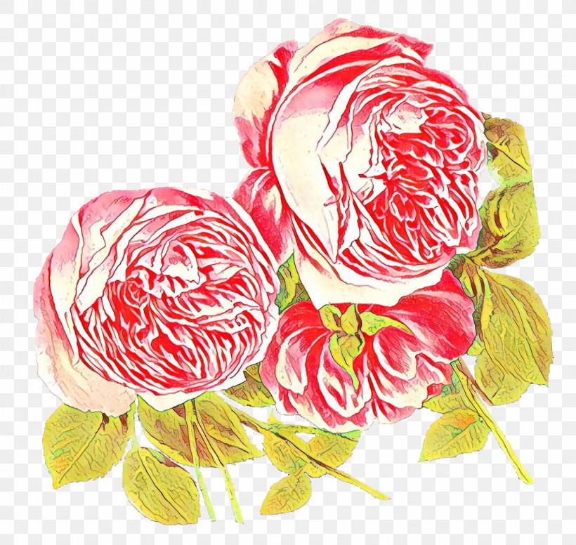 Pink Flower Cartoon, PNG, 1600x1515px, Garden Roses, Cabbage Rose, Cut Flowers, Flower, Garden Download Free