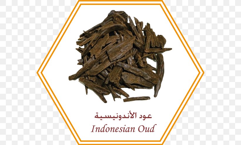 Agarwood Perfume Bukhoor Essential Oil Incense, PNG, 571x495px, Agarwood, Ambergris, Bancha, Bukhoor, Censer Download Free