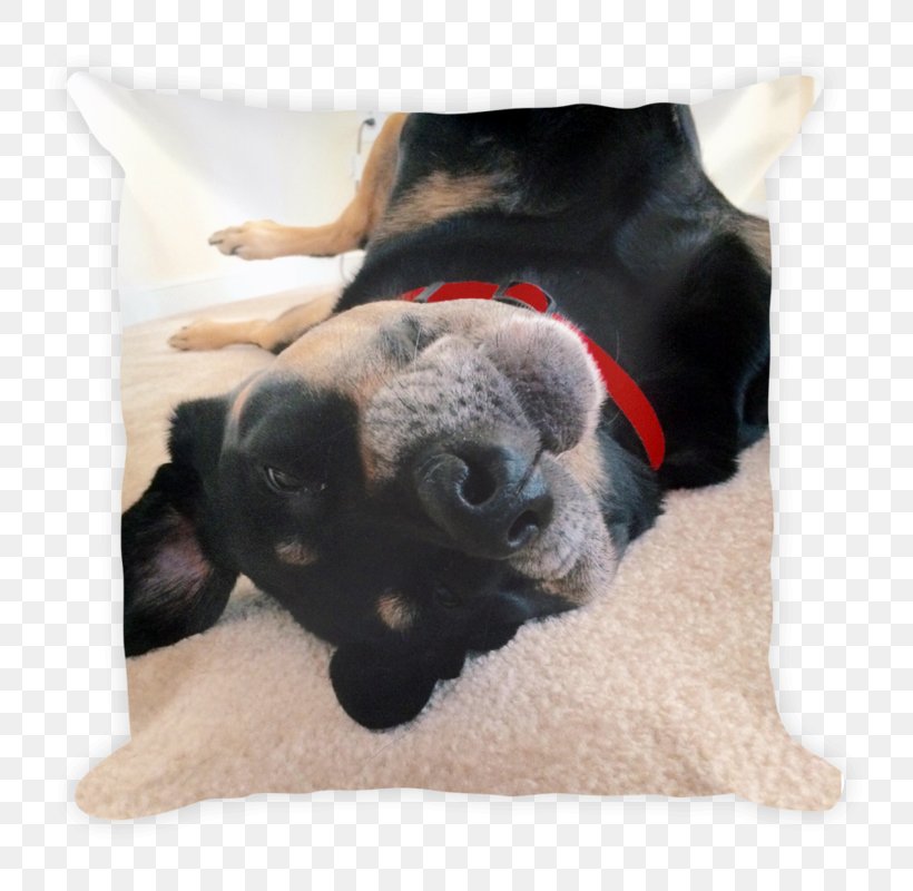 Dog Breed Pug Throw Pillows Cushion, PNG, 800x800px, Dog Breed, Breed, Carnivoran, Crossbreed, Cushion Download Free