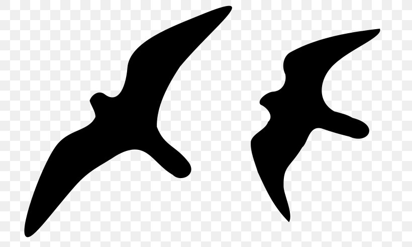 Flight Bird Peregrine Falcon Silhouette, PNG, 800x491px, Flight, Beak, Bird, Black And White, Drawing Download Free