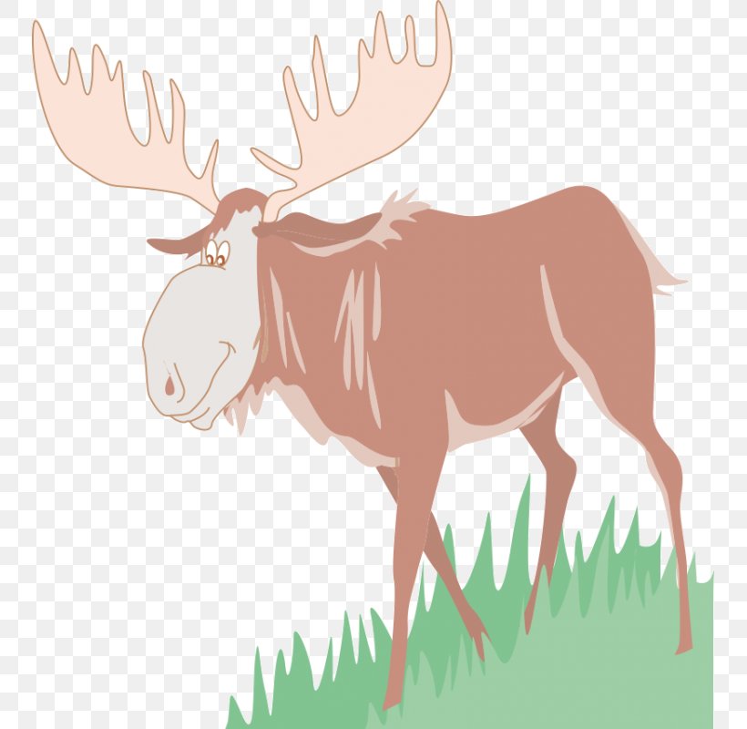 Moose Reindeer Clip Art, PNG, 800x800px, Moose, Antler, Cattle Like Mammal, Deer, Fauna Download Free