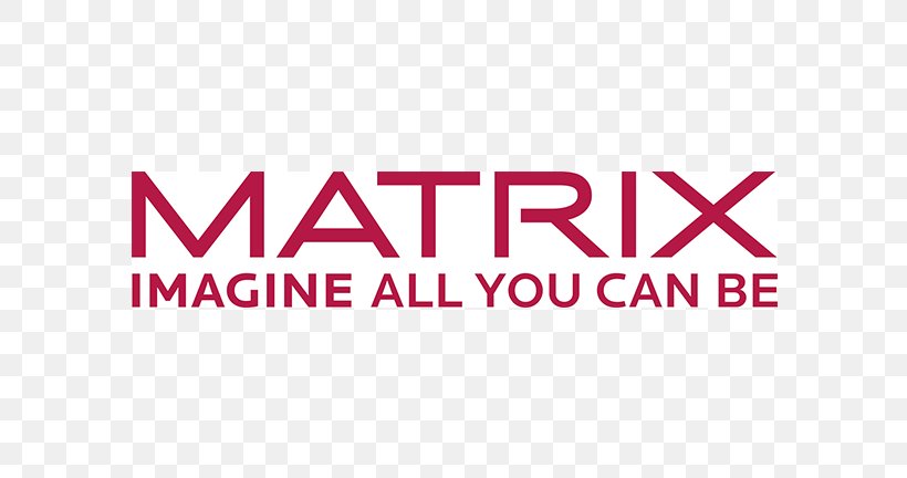Hair Matrix Logo Brand Font Product, PNG, 700x432px, Hair Matrix, Area, Brand, Hair, Logo Download Free