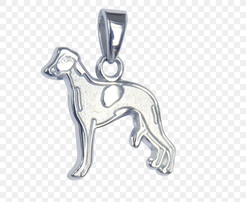 Charms & Pendants Dog Breed Whippet Gold Charm Bracelet, PNG, 600x673px, Charms Pendants, Bangle, Body Jewellery, Body Jewelry, Bracelet Download Free