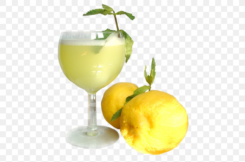 Orange Juice Cocktail Smoothie Drink, PNG, 461x543px, Juice, Citric Acid, Citrus, Cocktail, Cocktail Garnish Download Free