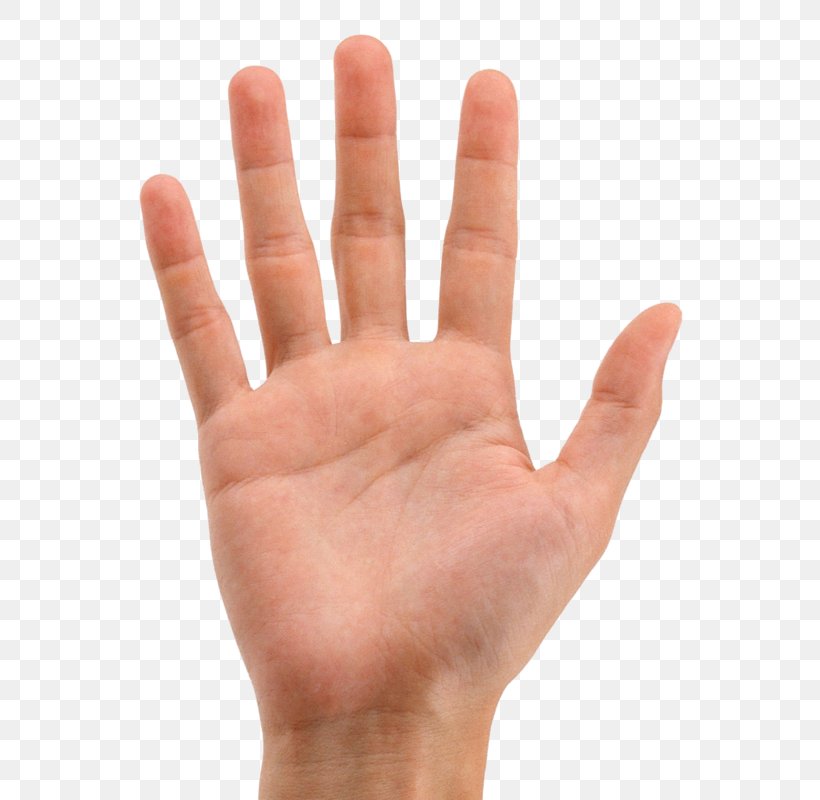 Clip Art Hand Index Finger Image, PNG, 600x800px, Hand, Arm, Finger, Forearm, Index Finger Download Free