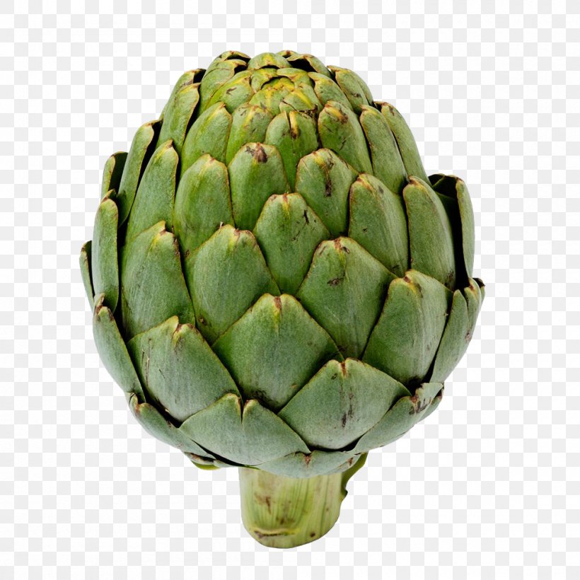 Artichoke Castroville Vegetable, PNG, 1000x1000px, Artichoke, Castroville, Conifer Cone, Cynara, Food Download Free