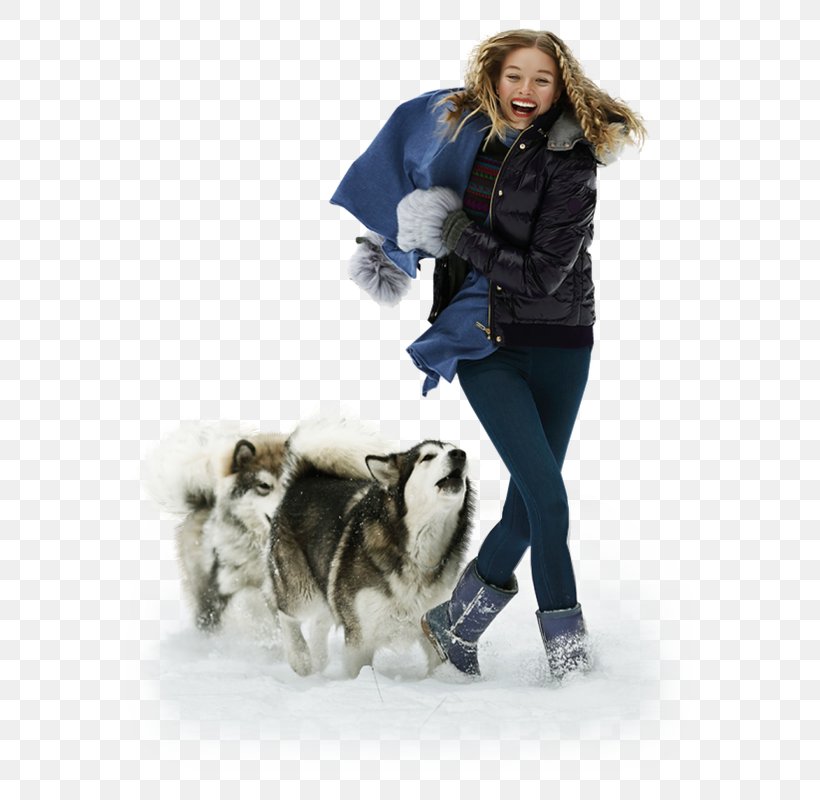 Dog Breed Companion Dog Fur Winter, PNG, 626x800px, Dog Breed, Breed, Companion Dog, Dog, Dog Breed Group Download Free