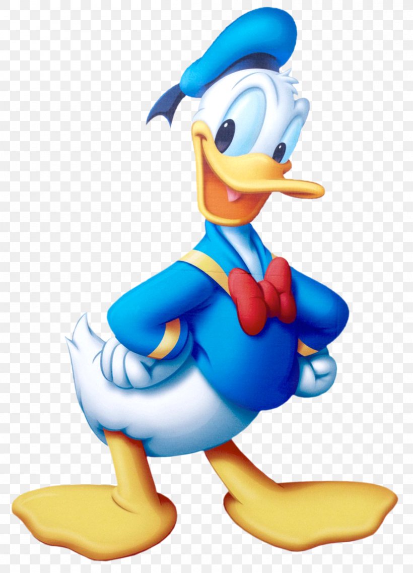 Donald Duck Desktop Wallpaper, PNG, 1153x1600px, 4k Resolution, Donald Duck,  Beak, Bird, Cartoon Download Free