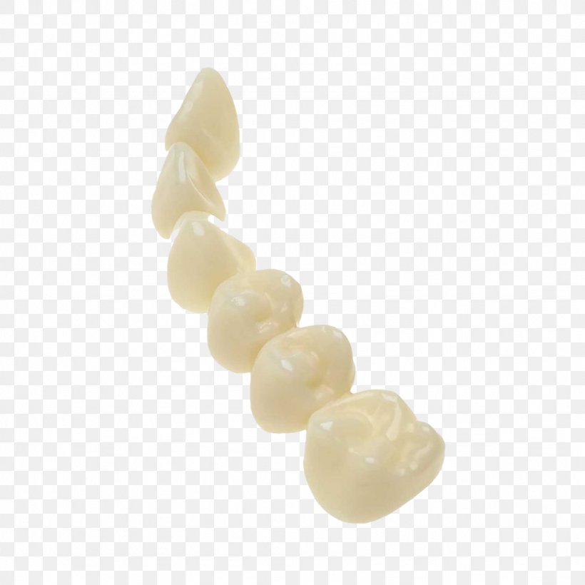 Human Tooth Dentistry 3D Printing, PNG, 1024x1024px, 3d Printing, Tooth, Bead, Crown, Dental Curing Light Download Free