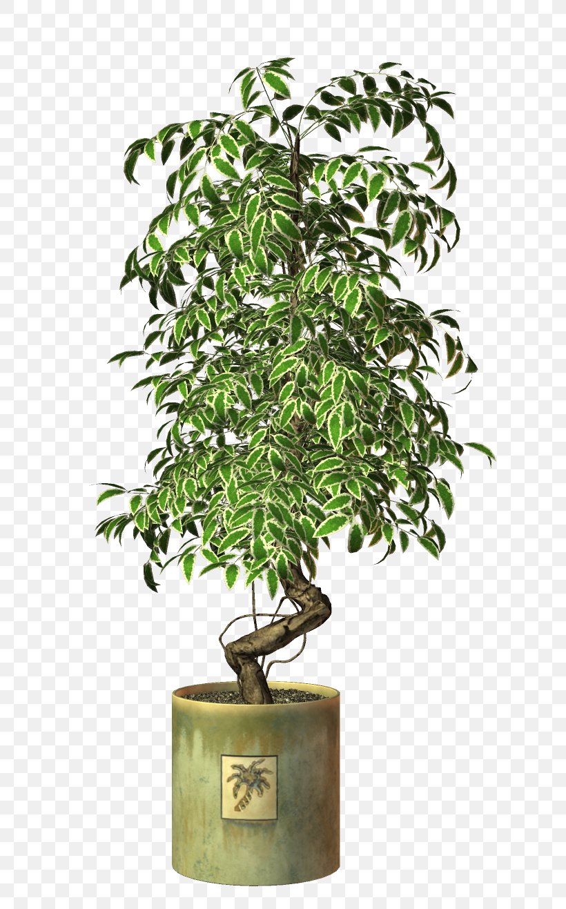 Sageretia Theezans Flowerpot Advertising, PNG, 666x1317px, Sageretia Theezans, Advertising, Bonsai, Branch, Flower Download Free