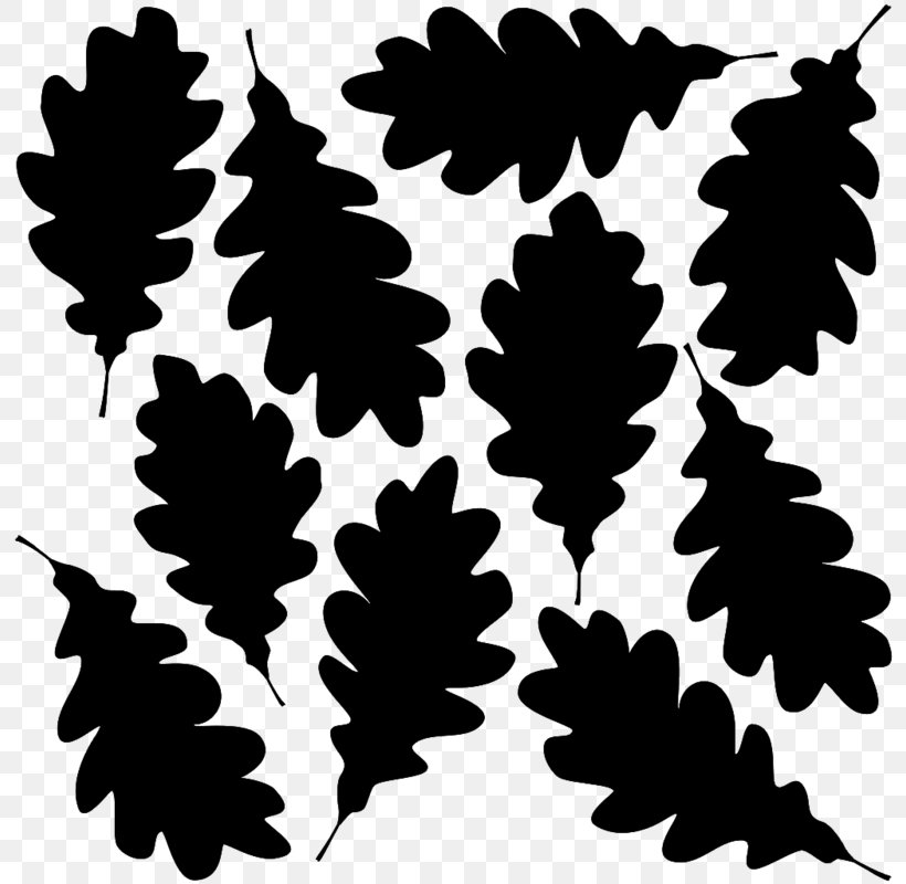 Silhouette Oak Leaf Cluster, PNG, 800x800px, Silhouette, Acorn, Black And White, Branch, Flowering Plant Download Free
