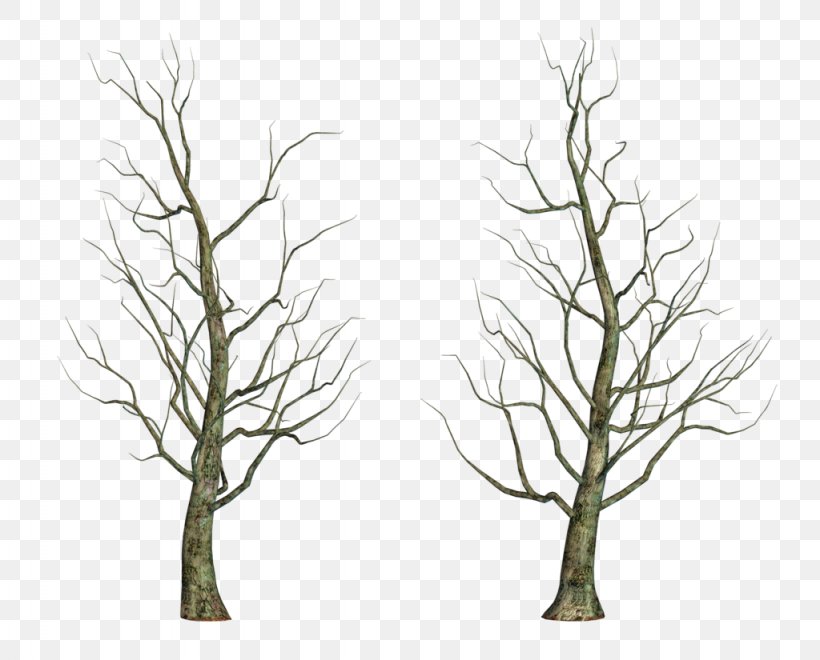 Tree Drawing Clip Art, PNG, 1024x825px, Tree, Art, Branch, Drawing, Grass Download Free