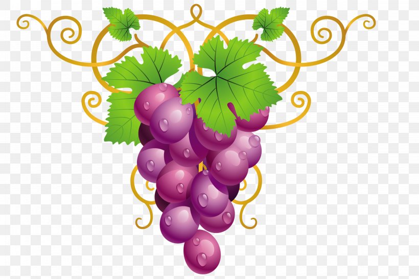 Common Grape Vine Wine Clip Art, PNG, 4500x3000px, Common Grape Vine, Flowering Plant, Food, Fruit, Grape Download Free