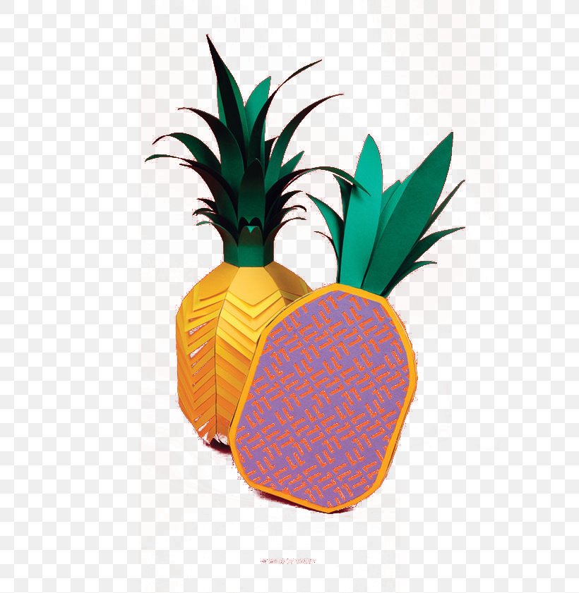 Pineapple Fruit Drawing, PNG, 595x841px, Pineapple, Ananas, Auglis, Bromeliaceae, Drawing Download Free