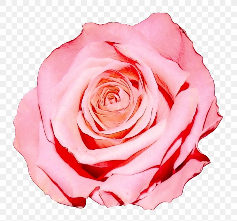 Clip Art Rose Image Transparency, PNG, 1600x1488px, Rose, Artificial Flower, Beauty, Blue, Blue Rose Download Free