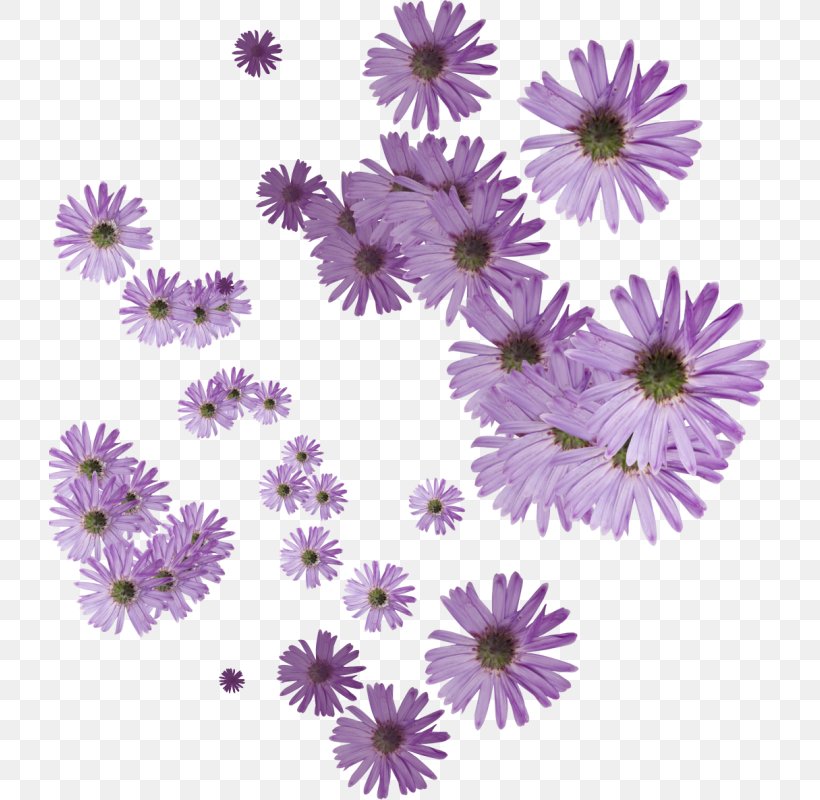 Flower Painting Blue Rose Petal Purple, PNG, 721x800px, Flower, Animaatio, Annual Plant, Aster, Blue Download Free