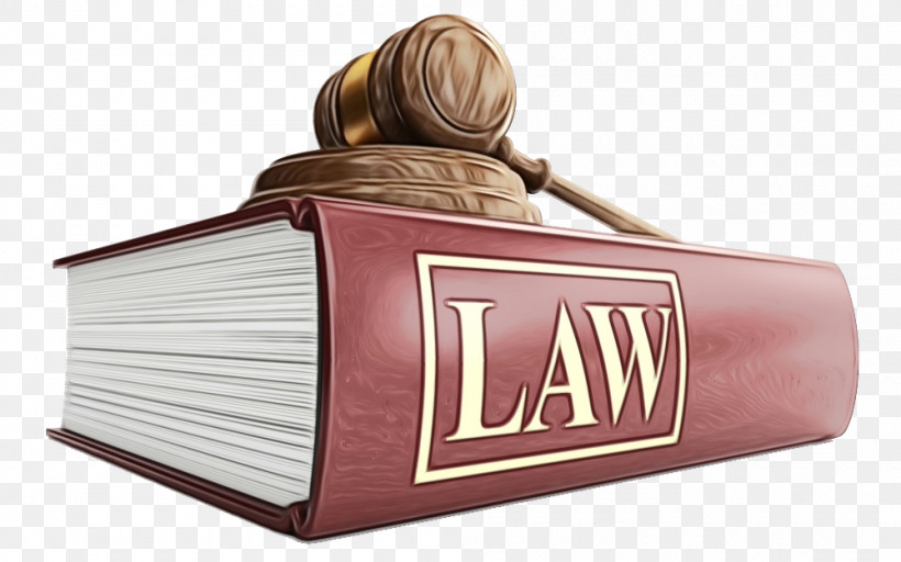 Headley Legal Support Services, Inc. Personal Injury Family Law Paralegal Services Law, PNG, 1000x625px, Watercolor, Bail, Bail Bondsman, Constitution, Contract Download Free