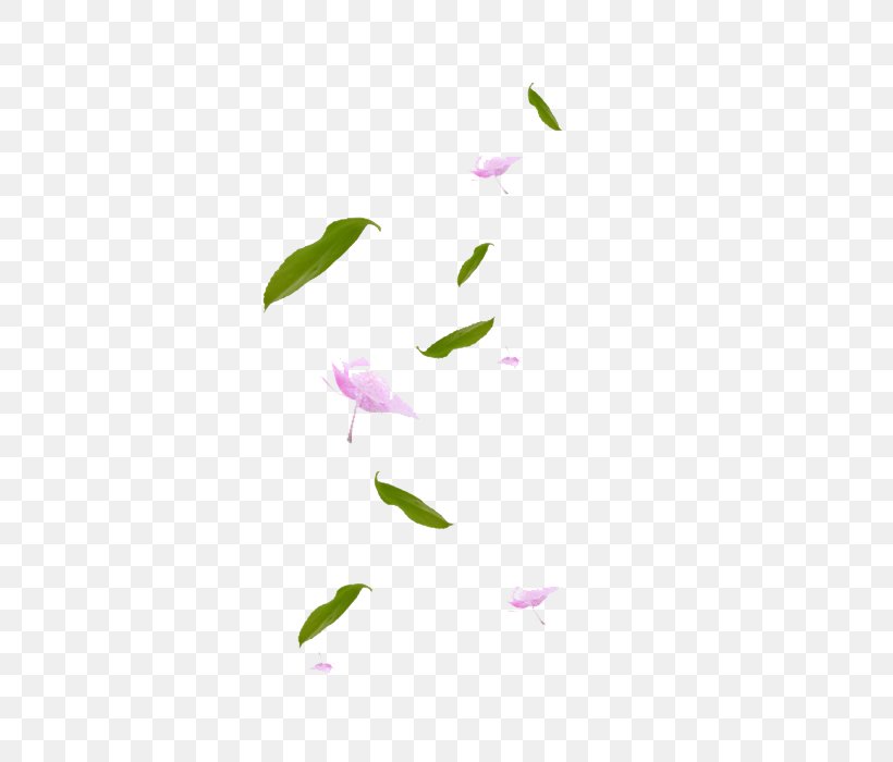 Maple Leaf Petal Green, PNG, 700x700px, Leaf, Designer, Flower, Google Images, Green Download Free