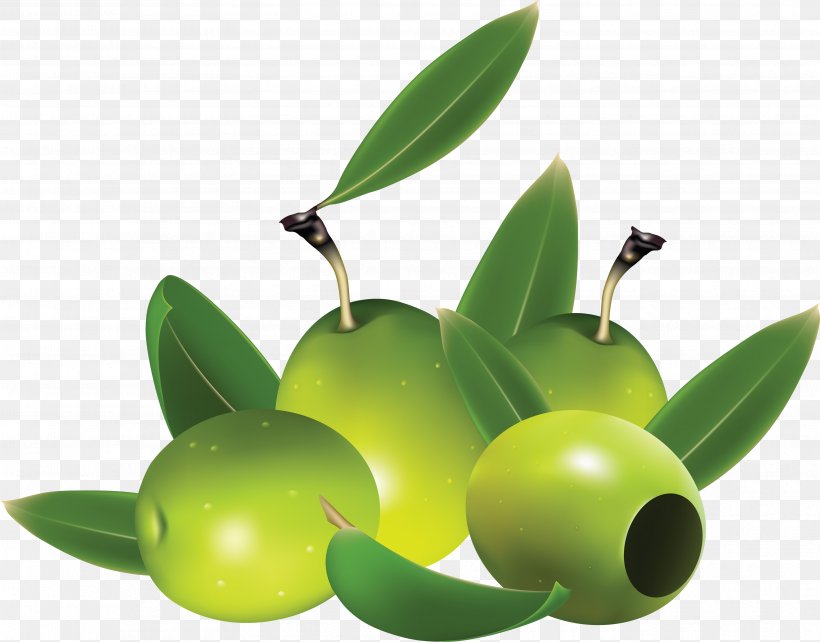 Olive Euclidean Vector Clip Art, PNG, 3515x2752px, Olive, Food, Fruit, Oil, Olive Branch Download Free