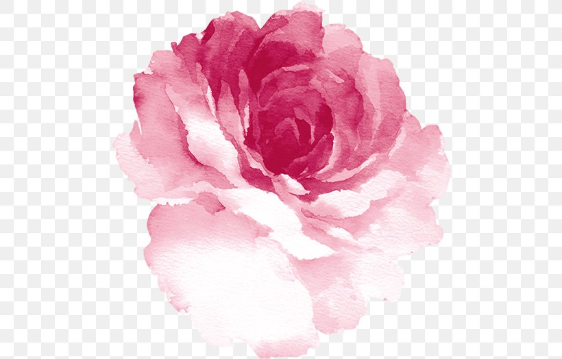 Watercolor Painting Watercolor: Flowers Rose Watercolour Flowers, PNG, 496x524px, Watercolor Painting, Art, Artist Trading Cards, Azalea, Black Rose Download Free