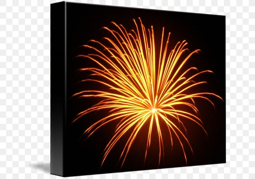 Fireworks, PNG, 650x578px, Fireworks, Event Download Free