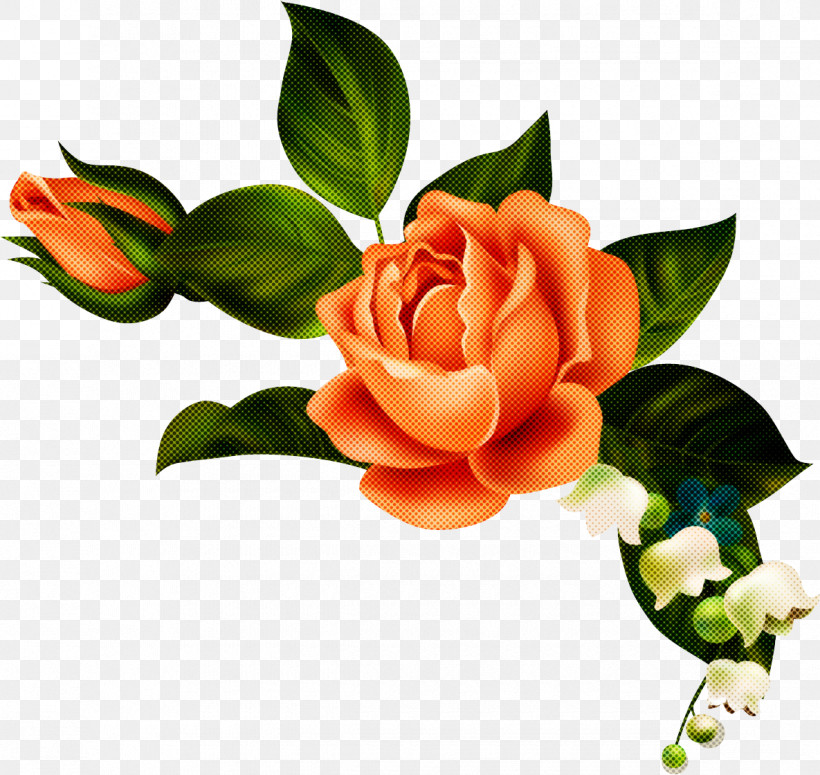 Floral Design, PNG, 1185x1120px, Floral Design, Cut Flowers, Flower, Flower Bouquet, Garden Download Free