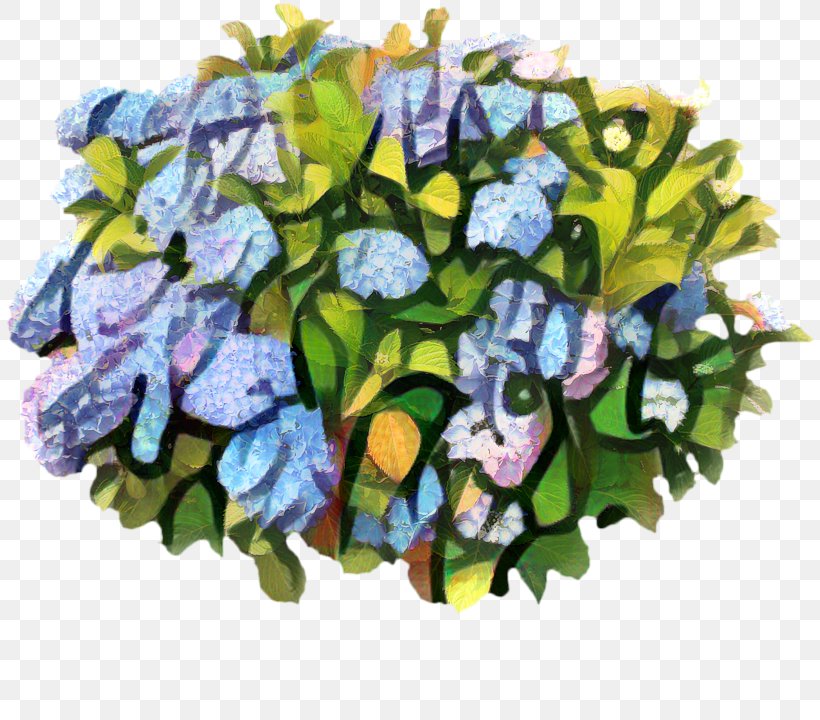 Flowers Background, PNG, 808x720px, Shrub, Bouquet, Cornales, Cut Flowers, Floral Design Download Free