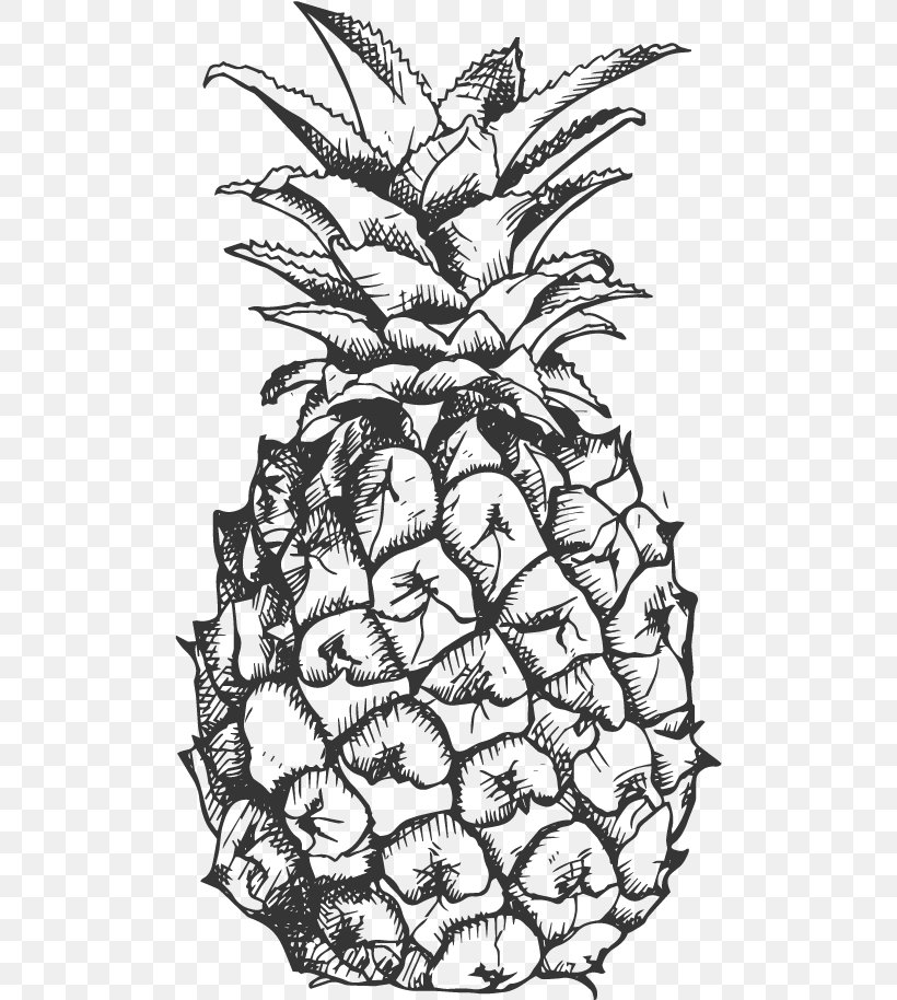 Pineapple Fruit Drawing Black And White Clip Art, PNG, 500x914px, Pineapple, Artwork, Banana, Black, Black And White Download Free