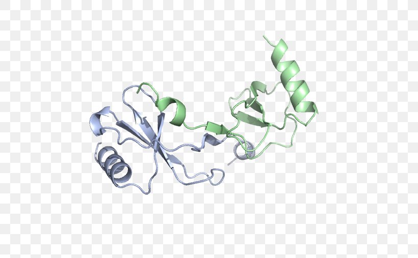 CCL2 Chemokine Lewis Structure Monocyte Chemotaxis, PNG, 508x507px, Chemokine, Body Jewelry, Cc Chemokine Receptors, Cellule Immunitaire, Chemistry Download Free