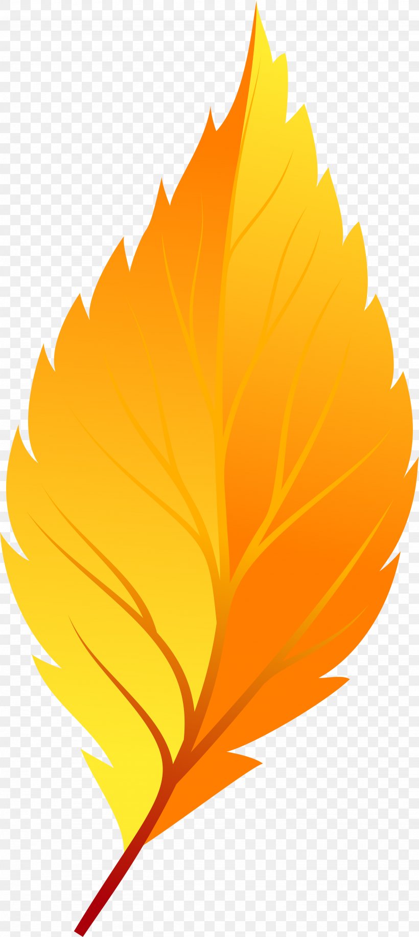 Clip Art Transparency Illustration Autumn Leaf Color, PNG, 2666x5955px, Autumn Leaf Color, Art, Autumn, Botany, English Marigold Download Free