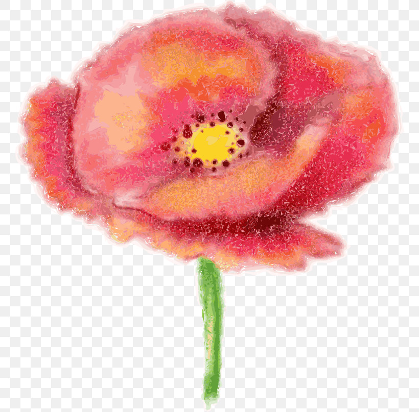 Flower Pink Watercolor Paint Plant Petal, PNG, 762x807px, Flower, Anemone, Coquelicot, Cut Flowers, Oriental Poppy Download Free